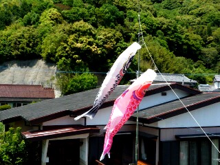 f0121167_0245963.jpg