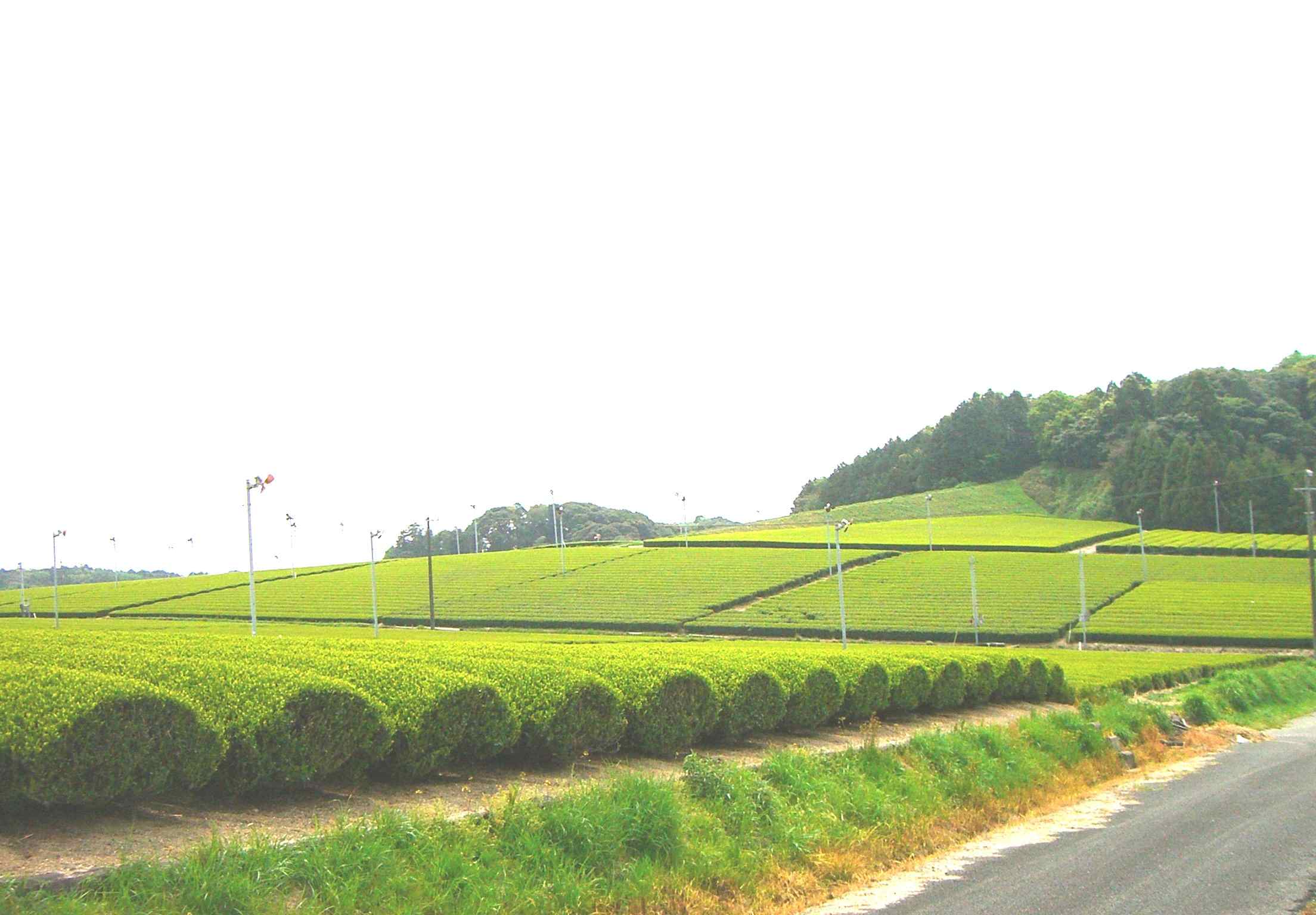 d0116173_221635.jpg