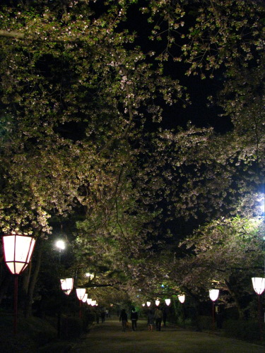 葉桜と<b>温泉</b>