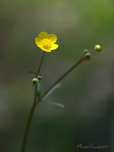 b0078874_16314864.jpg