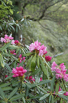 c0167576_813032.gif