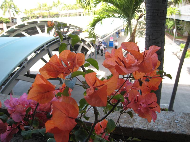c0069577_10235234.jpg