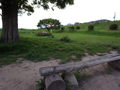 c0091679_22485185.jpg