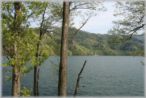 d0082980_10502787.jpg