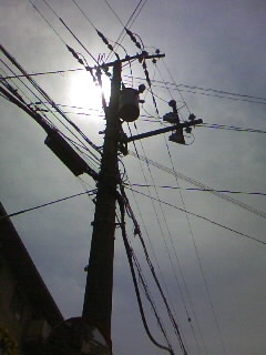 f0100480_018443.jpg