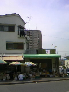 f0100480_1542067.jpg