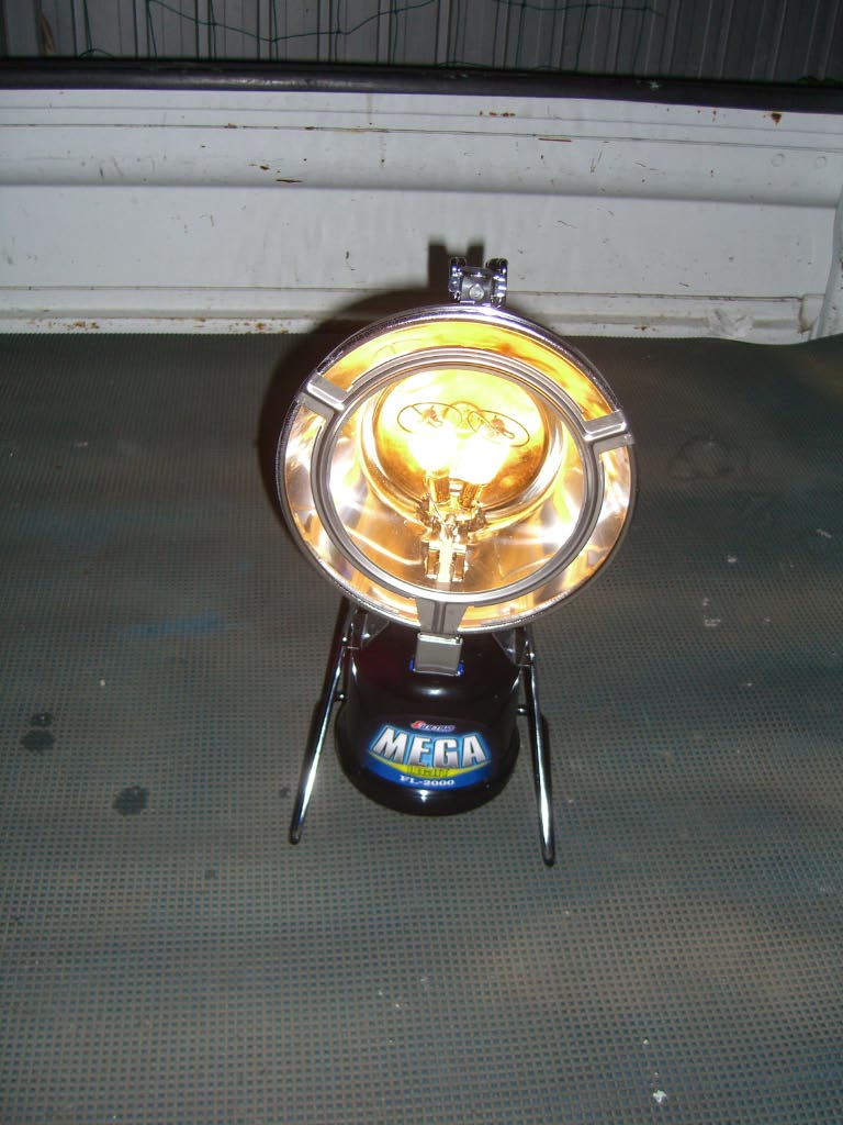 e0023183_31435.jpg