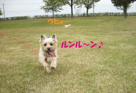 e0066883_21274791.gif
