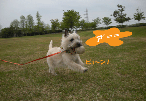 e0066883_21301445.gif