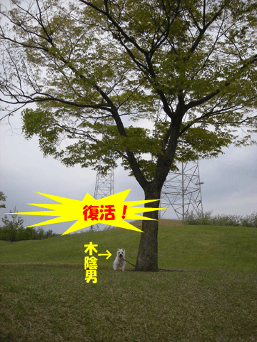 e0066883_21311817.gif