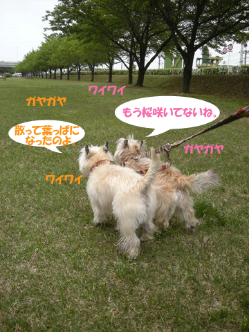 e0066883_21322811.gif