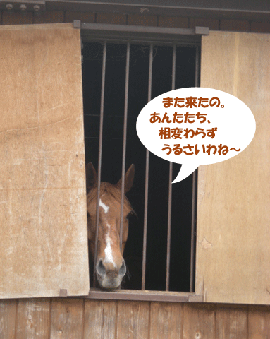 e0066883_21325140.gif