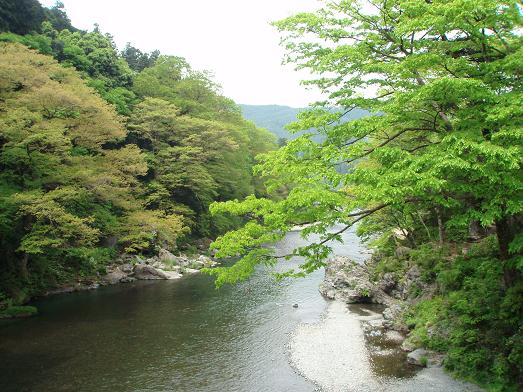 f0014183_233016.jpg