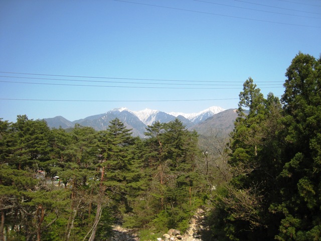 d0065484_131874.jpg