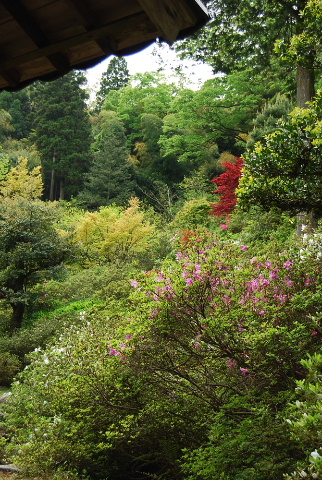 c0156789_20101756.jpg