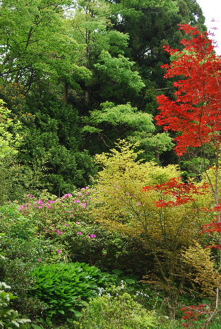 c0156789_2010428.jpg