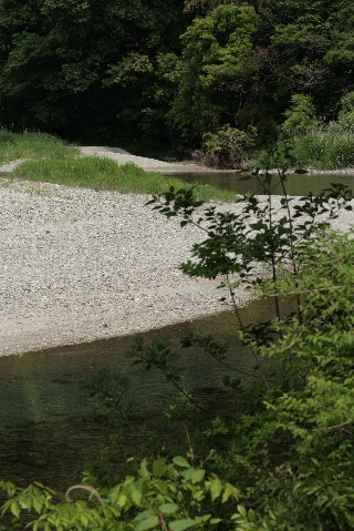 d0133693_23224884.jpg