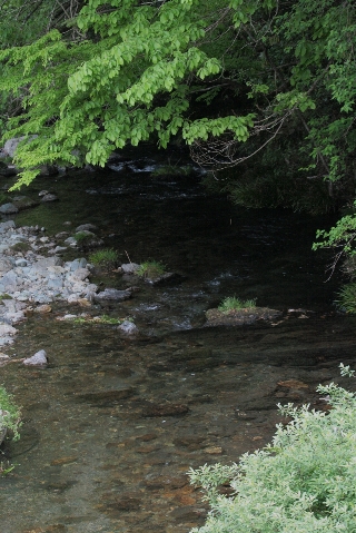 d0133693_23234919.jpg