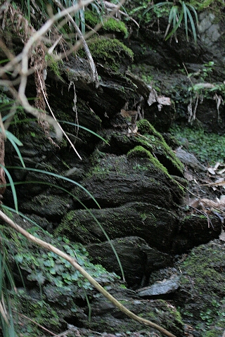 d0133693_2324698.jpg