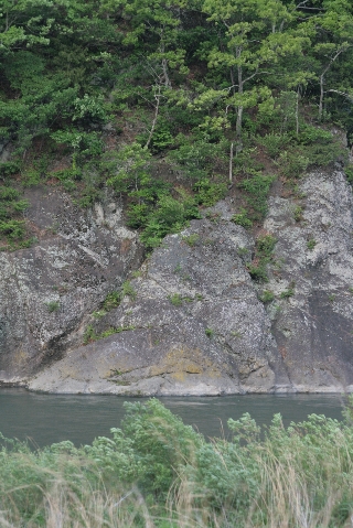 d0133693_7173457.jpg