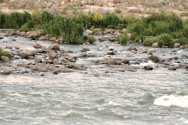 d0133693_74825100.jpg