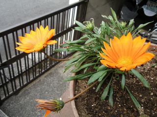 f0130894_2231219.jpg