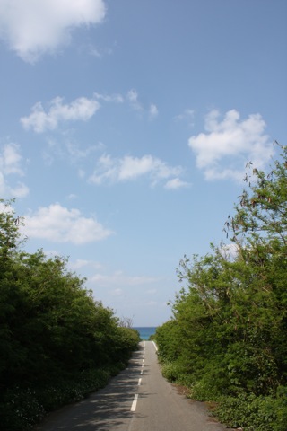c0193396_12164519.jpg