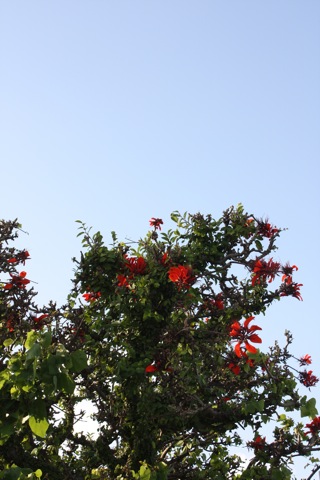 c0193396_202924.jpg