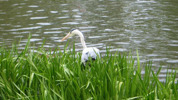 e0013399_2042044.jpg