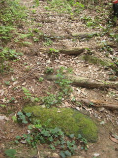 e0033301_914539.jpg
