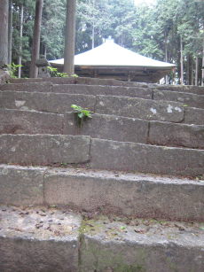 e0033301_9503229.jpg