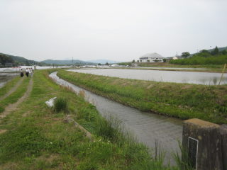 e0033301_994743.jpg