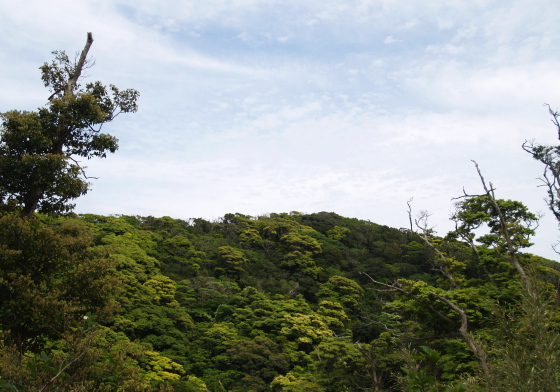 e0089001_22424247.jpg