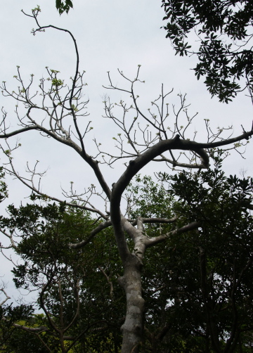 e0089001_2324935.jpg