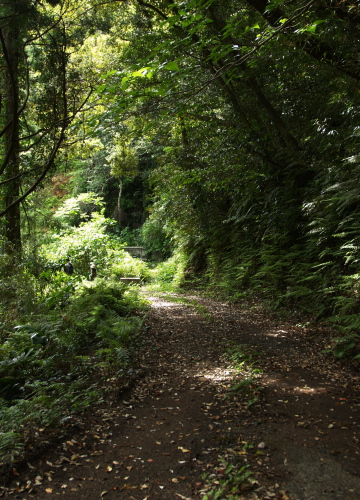 e0089001_23344462.jpg