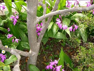 a0057402_305472.jpg