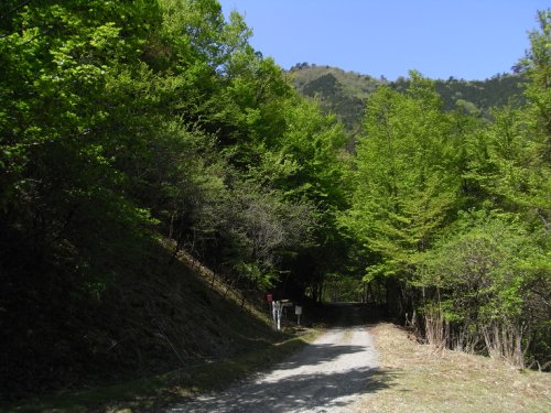 f0187402_16271453.jpg