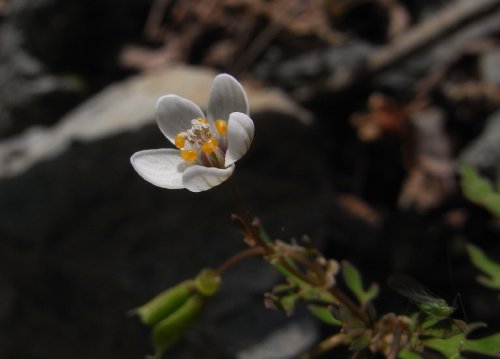 f0187402_16274445.jpg