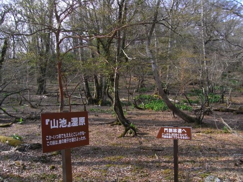 f0187402_16284927.jpg