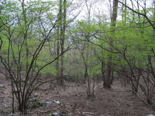 f0187402_16311955.jpg