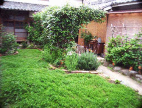 d0077603_20332741.jpg