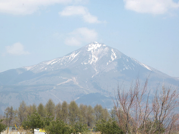 b0159611_20475358.gif