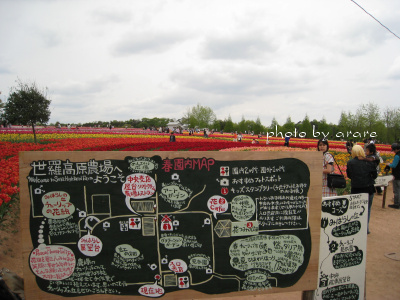 c0175715_8563113.jpg