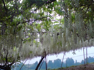 b0145616_23492249.jpg