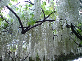 b0145616_2353337.jpg