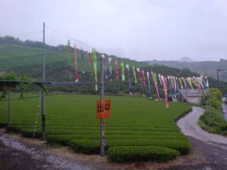 b0145616_235631.jpg