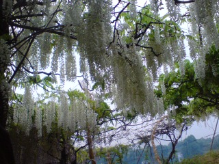 b0145616_23565669.jpg