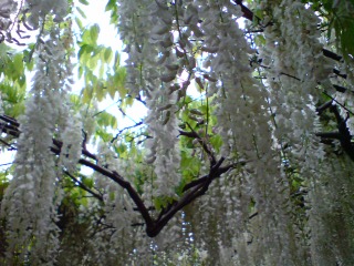 b0145616_23574922.jpg