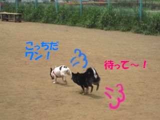 c0185516_15333545.jpg