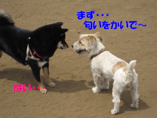c0185516_15342821.jpg